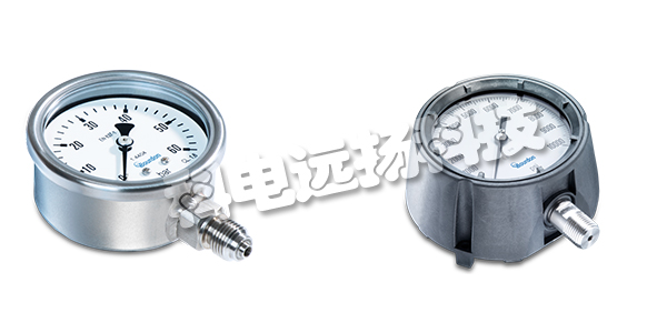 BOVRDON SEDEME壓力計(jì),意大利BOVRDON SEDEME,意大利壓力計(jì),MEX3