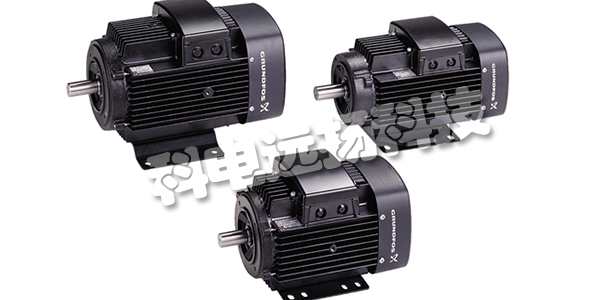 GRUNDFOS電機(jī),丹麥GRUNDFOS,丹麥電機(jī),MG 80