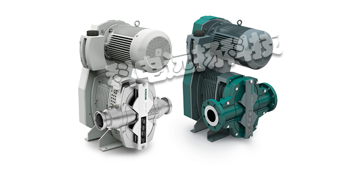 NETZSCH泵,NETZSCH轉(zhuǎn)子泵,德國(guó)泵,德國(guó)轉(zhuǎn)子泵,TORNADO?系列,德國(guó)NETZSCH